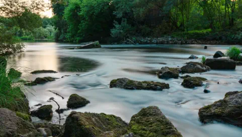 Fließender Fluss mit Steinen und von der Natur umgeben
